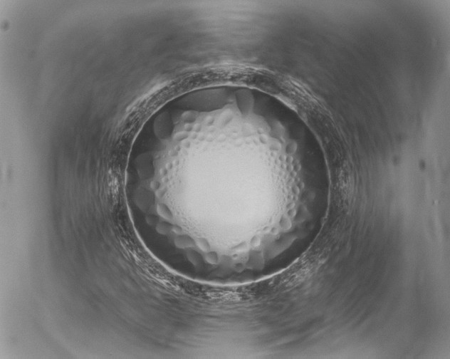 X0000054371302200507291036