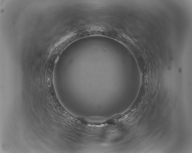 X0000054371303200507291036