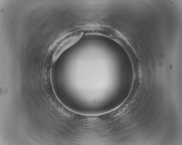 X0000054371304200507291036