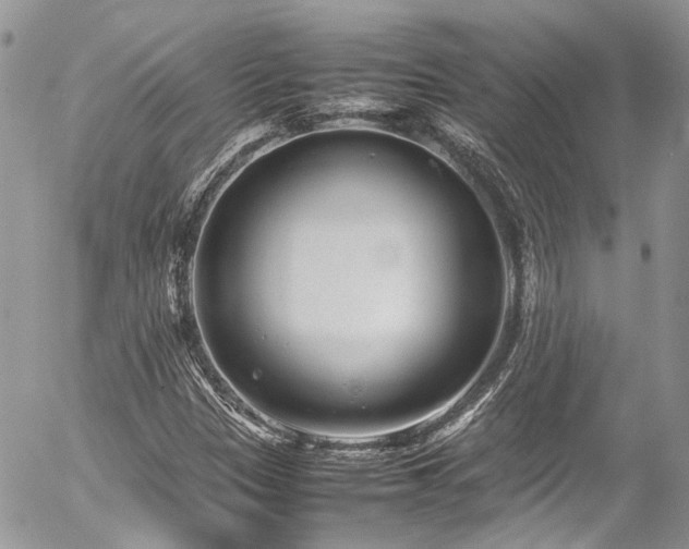 X0000054371305200507291036