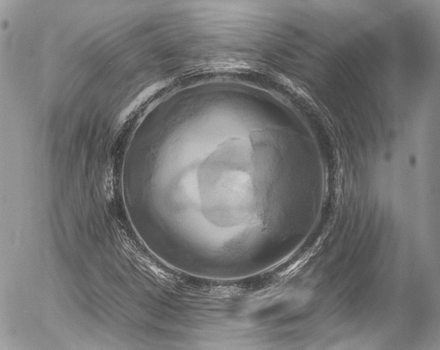 X0000054371306200507291036