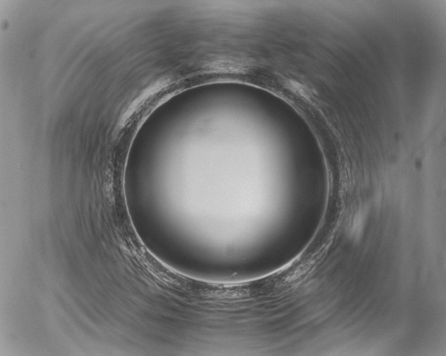 X0000054371307200507291036