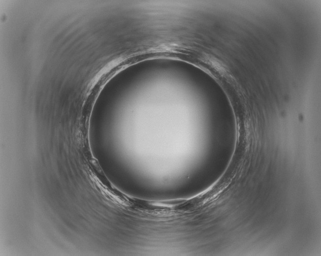 X0000054371308200507291036