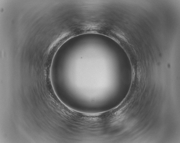 X0000054371309200507291036