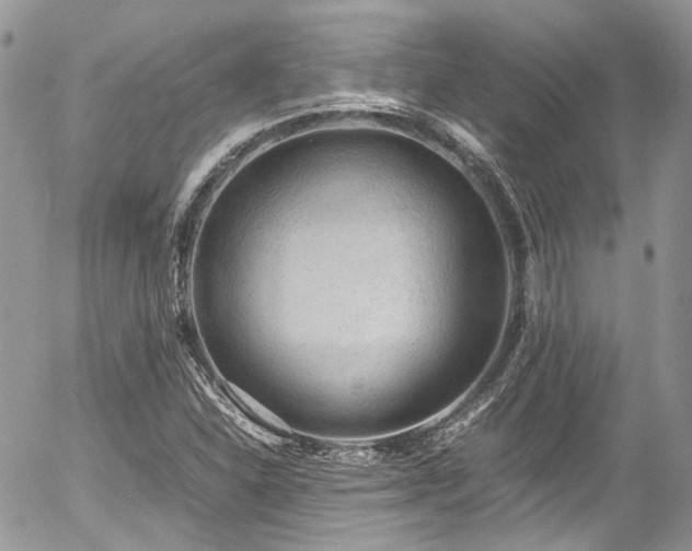 X0000054371310200507291036