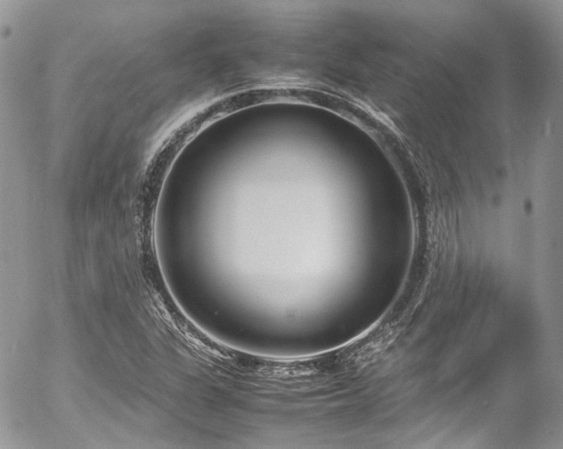 X0000054371311200507291036