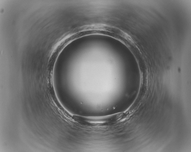 X0000054371312200507291036