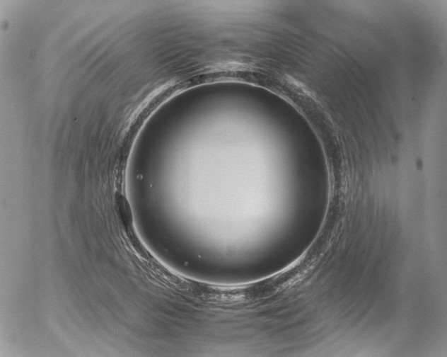 X0000054371313200507291037