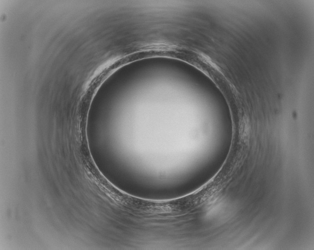 X0000054371315200507291037