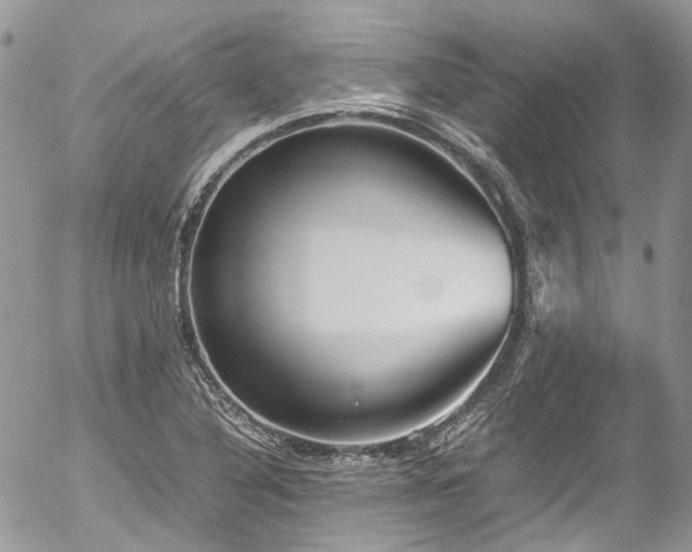 X0000054371316200507291037