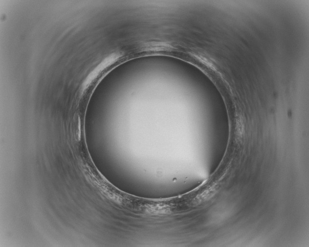 X0000054371317200507291037