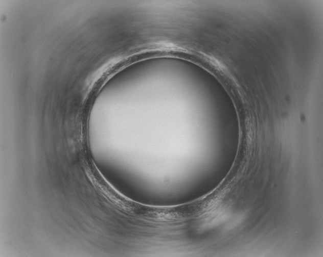 X0000054371318200507291037