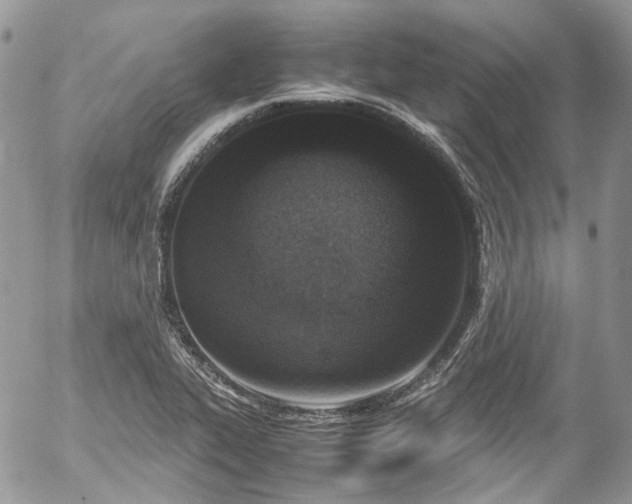 X0000054371319200507291037