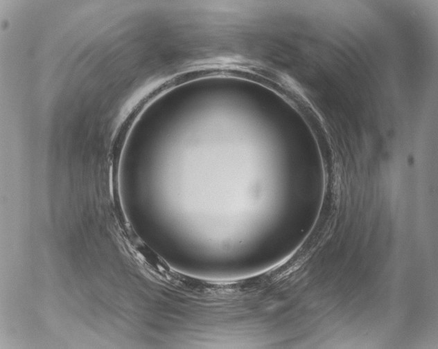 X0000054371320200507291037