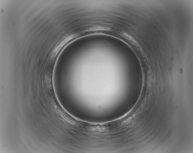 X0000054371321200507291037