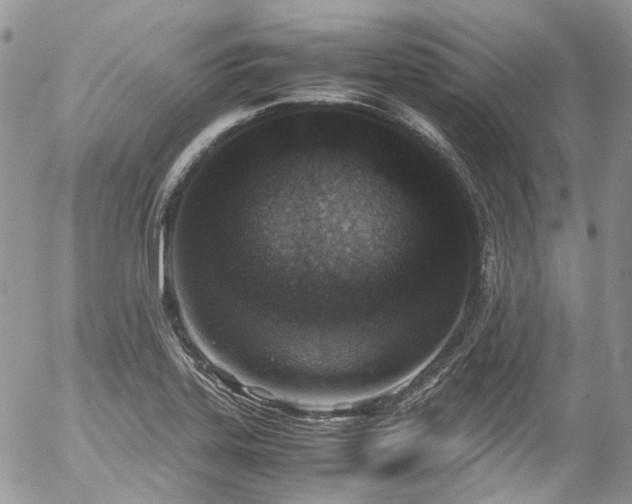 X0000054371323200507291037