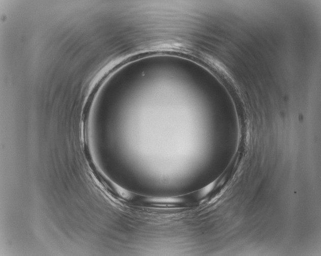 X0000054371324200507291037