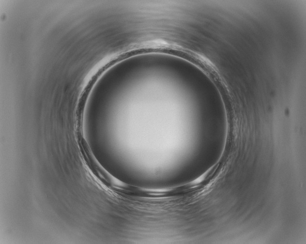 X0000054371326200507291037