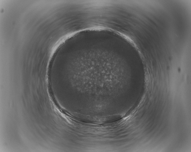 X0000054371327200507291037