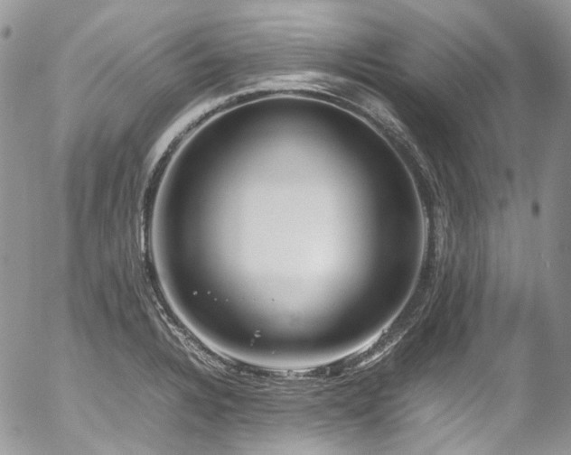 X0000054371328200507291037