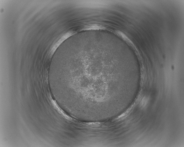 X0000054371329200507291037