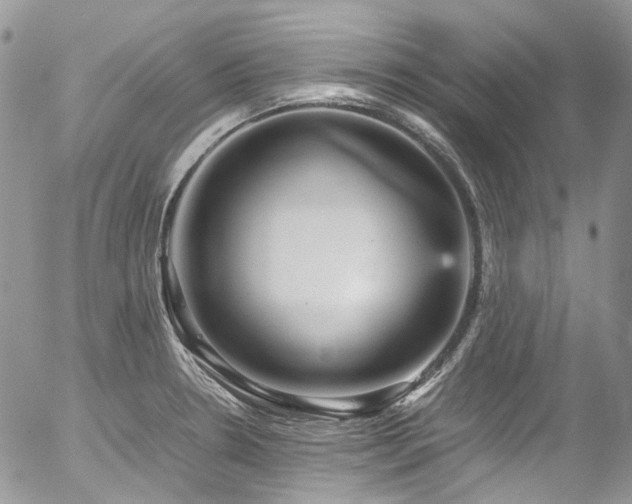 X0000054371330200507291037