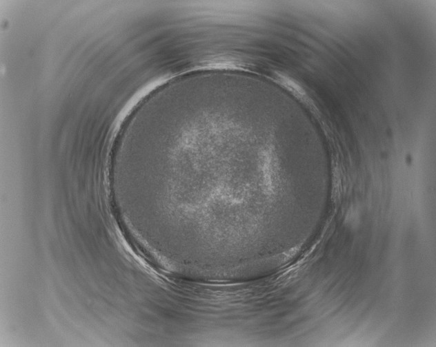 X0000054371331200507291037