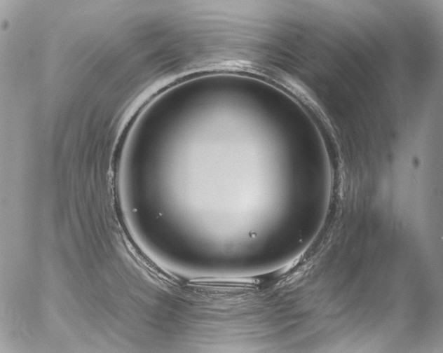 X0000054371332200507291037