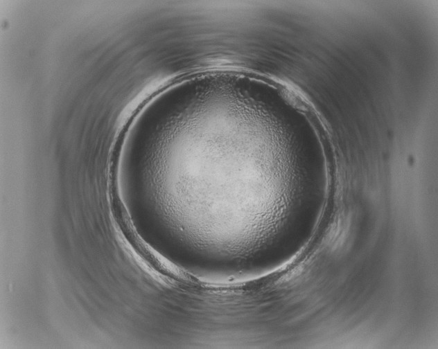 X0000054371333200507291037