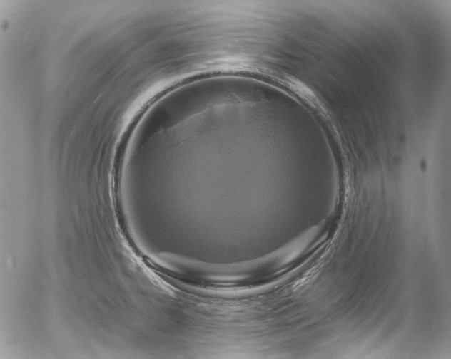 X0000054371334200507291037