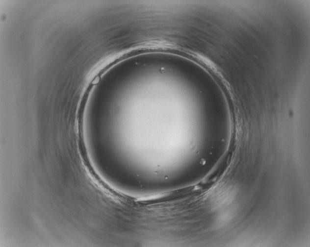 X0000054371335200507291037