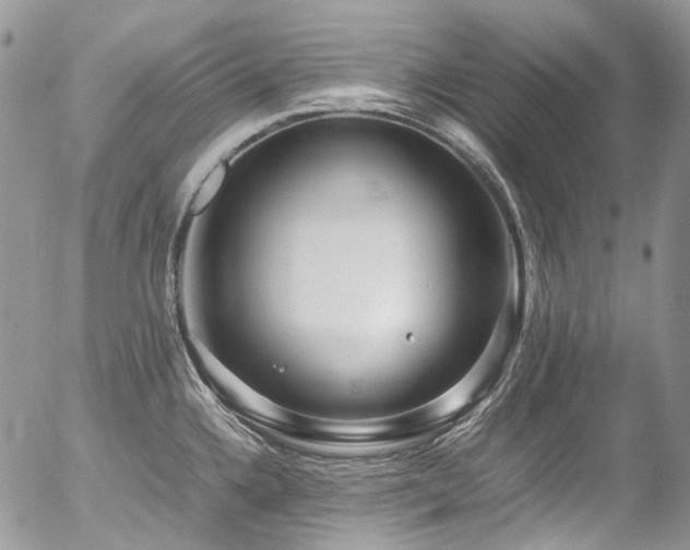 X0000054371336200507291037