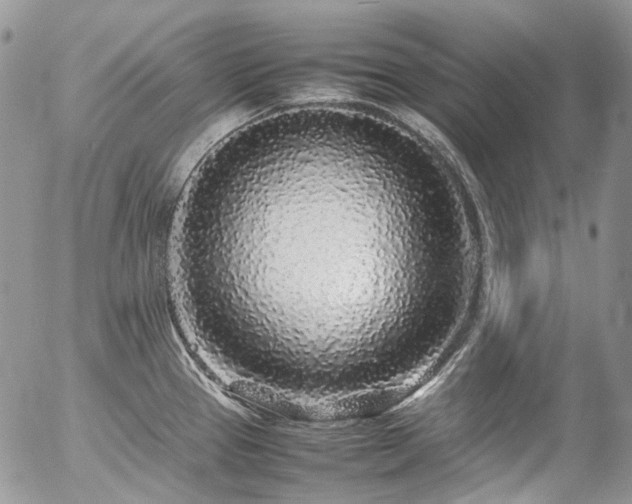 X0000054371337200507291037