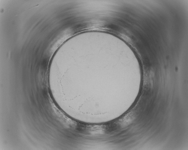 X0000054371338200507291037