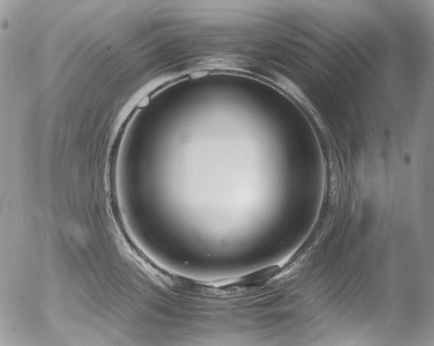 X0000054371339200507291037