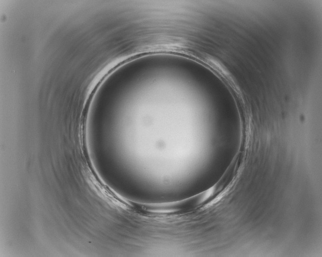 X0000054371340200507291037