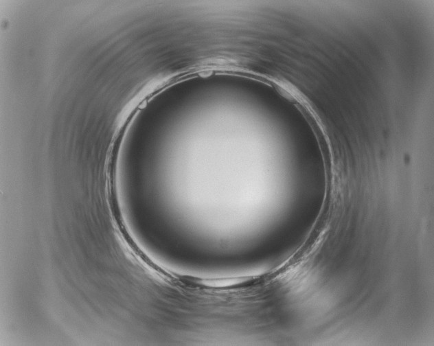 X0000054371341200507291037