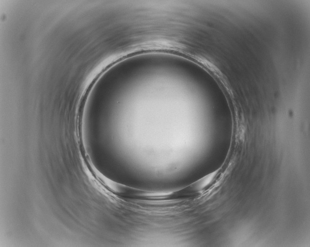 X0000054371342200507291037