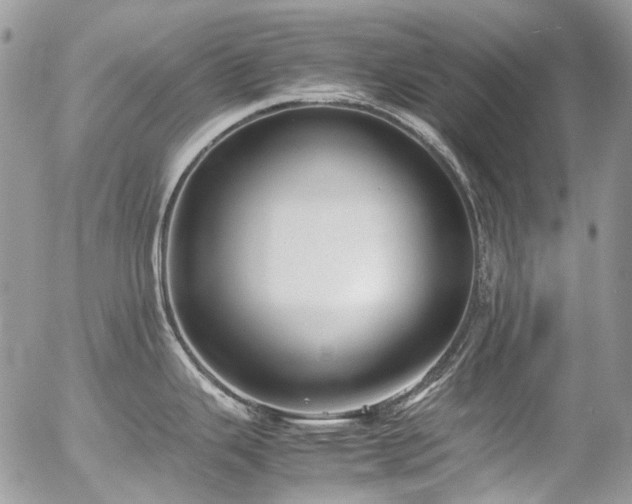 X0000054371343200507291037