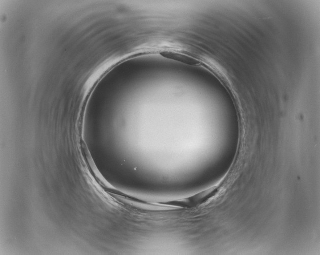 X0000054371344200507291037