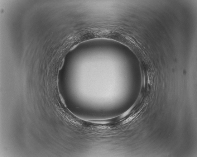 X0000054371345200507291036