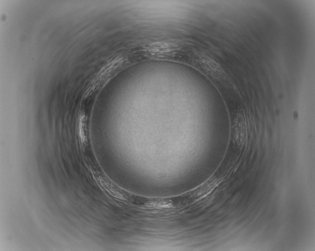 X0000054371346200507291036