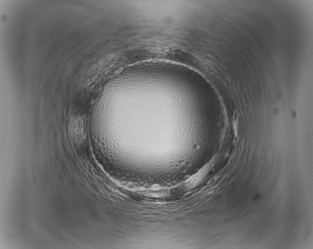 X0000054371347200507291036