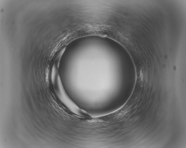 X0000054371348200507291036