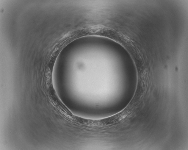 X0000054371349200507291036