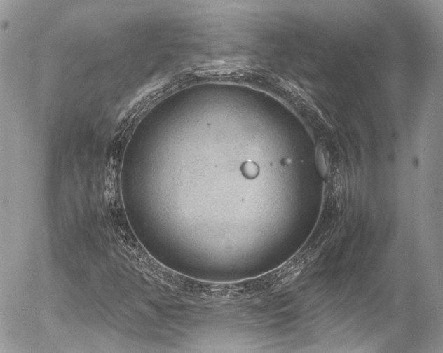 X0000054371350200507291036