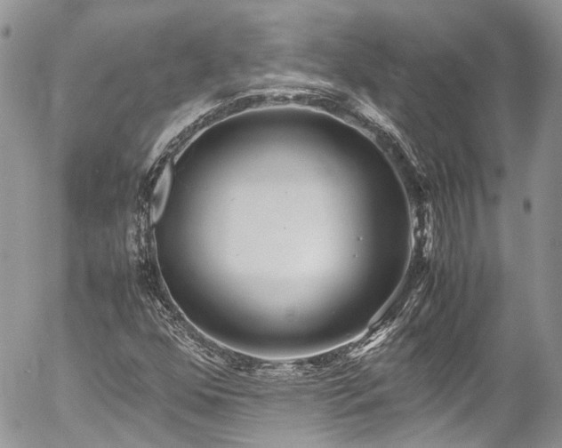 X0000054371352200507291036