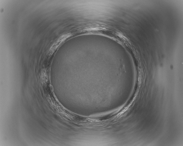 X0000054371353200507291036