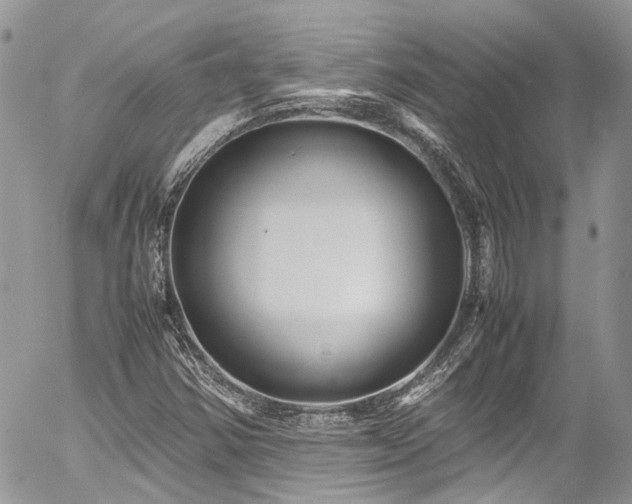 X0000054371354200507291036