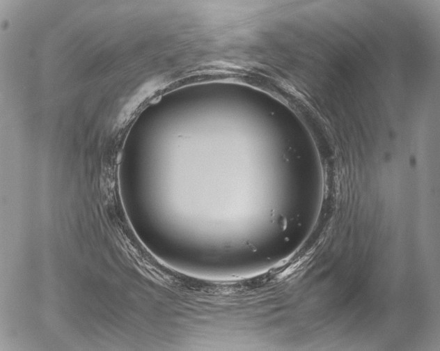 X0000054371355200507291036